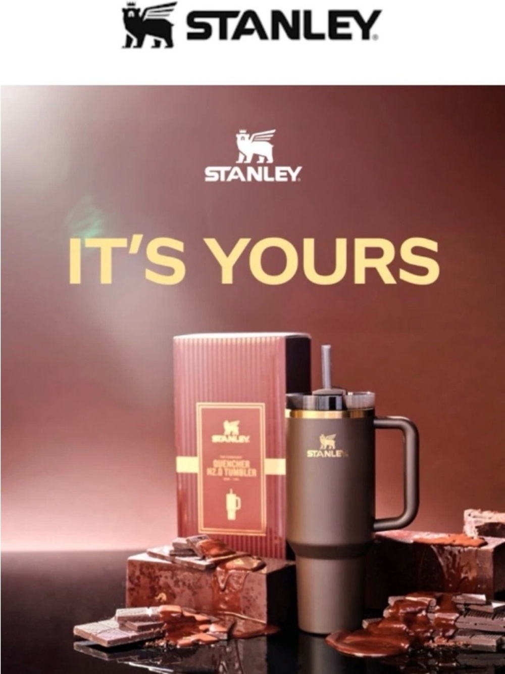 Stanley Brown FlowState Tumbler with Gold Logo - Picture 3 of 3